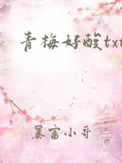 青梅好酸txt