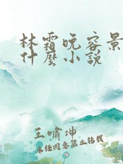 林霜晚容景渊是什么小说