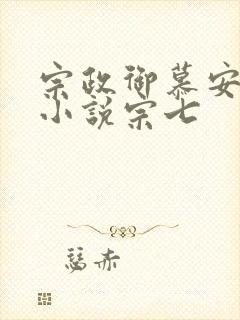 宗政御慕安安的小说宗七