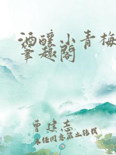 酒酿小青梅po笔趣阁