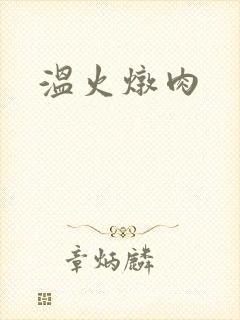 温火炖肉
