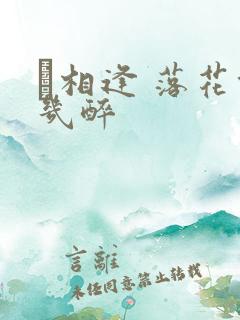 囍相逢 落花能几醉