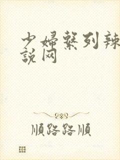 少妇系列辣文小说网