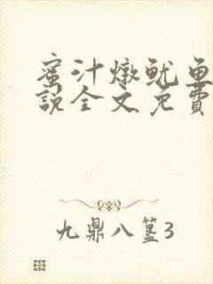 蜜汁炖鱿鱼2小说全文免费阅读