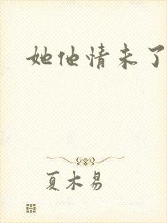 她他情未了