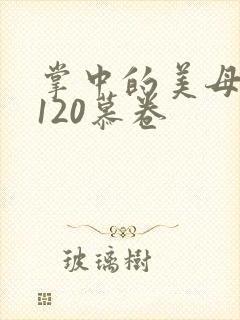 掌中的美母版主120慕卷