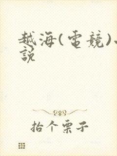 越海(电竞)小说