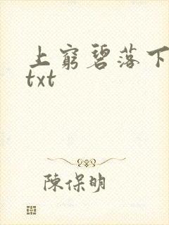 上穷碧落下黄泉txt