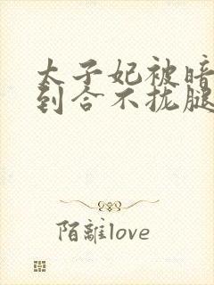 太子妃被暗卫c到合不拢腿