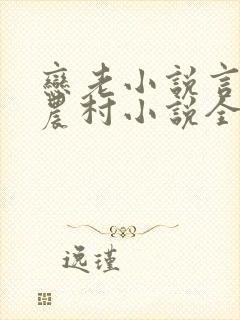 恋老小说言情网农村小说全文阅读