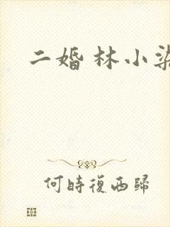 二婚 林小染