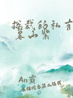 总裁的私有宝贝 暮山紫