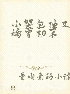 小哭包他又软又娇曾初末