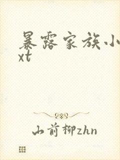 暴露家族小说txt