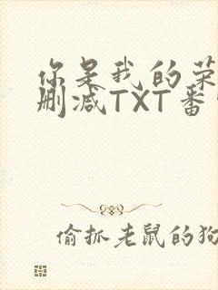 你是我的荣耀未删减TXT番外