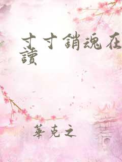 寸寸销魂在线阅读