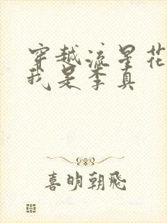 穿越流星花园之我是李真