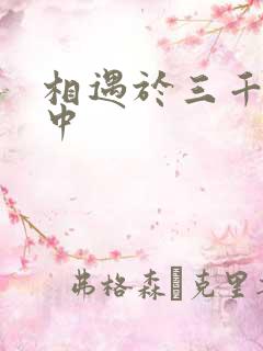 相遇于三千肉文中