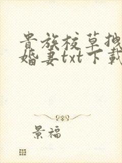 贵族校草拽拽未婚妻txt下载