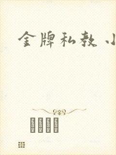 金牌私教 小说