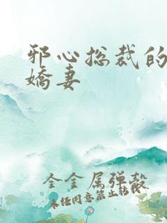 邪心总裁的纯情娇妻