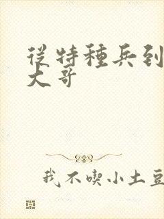 从特种兵到黑道大哥