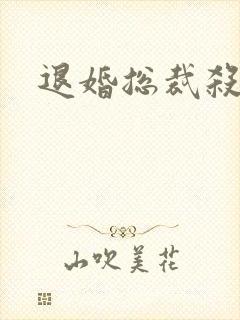 退婚总裁杀手妻