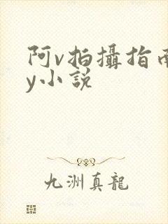 阿v拍摄指南by小说