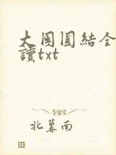 大团圆结全文阅读txt