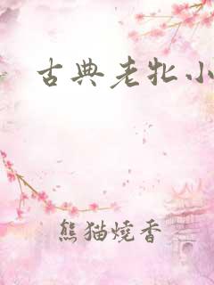 古典老牝小说