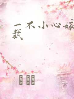 一不小心嫁给总裁