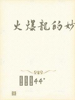 火爆龙的妙管家