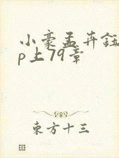 小豪孟卉钰慧三p上79章