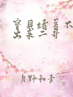 宝贝堵着不许流出来二哥