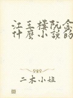 江玉楼阮念笙是什么小说的名字