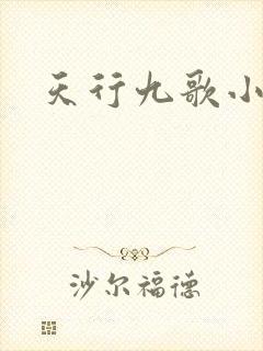 天行九歌小说