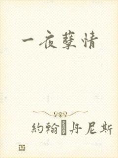 一夜孽情