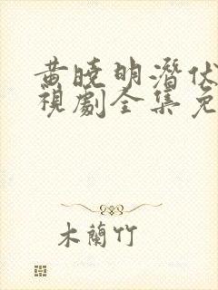 黄晓明潜伏者电视剧全集免费观看