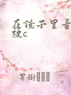 在镜子里看自己被c