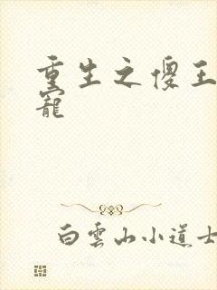 重生之傻王心尖宠