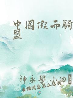 中国假面骑士联盟