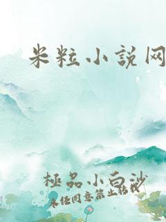米粒小说网