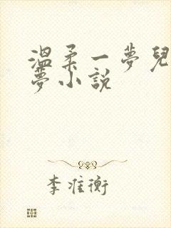 温柔一梦儿媳林梦小说