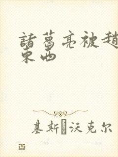 诸葛亮被赵云塞东西