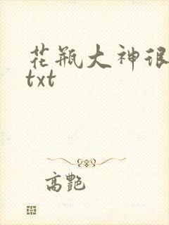 花瓶大神很菜鸟txt