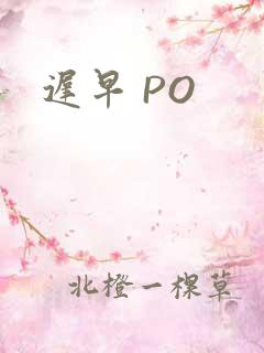 迟早 PO