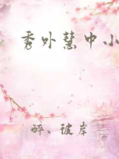 秀外慧中小说