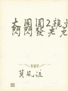 大团圆2亲情会闪闪发光免费