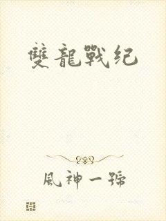 双龙战纪