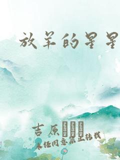 放羊的星星续集